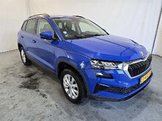 Unfallwagen Skoda Karoq 1.0 TSI Business Ed. 2023/5