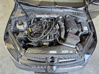 Volkswagen Golf 2.0 TSI GTI picture 17