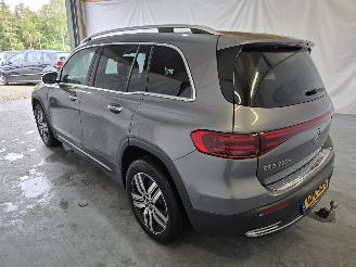 Mercedes EQB 250+ Luxury Line picture 5