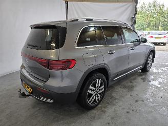 Mercedes EQB 250+ Luxury Line picture 7