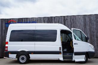 Mercedes Sprinter 313 CDi L2H2 Rollstoellift TriFlex Air Elektrische deur 95KW Euro 5 picture 5