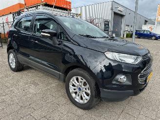 Ford EcoSport 1.0 EcoBoost picture 1