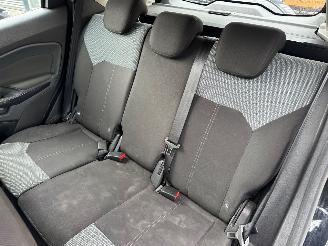 Ford EcoSport 1.0 EcoBoost picture 14