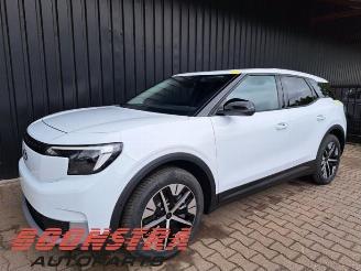 Ford Explorer Explorer (CX740), SUV, 2019 Extended Range RWD 77 kWh picture 1