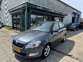 Damaged car Skoda Fabia 1.2 TDI 55KW AIRCO 2010/10