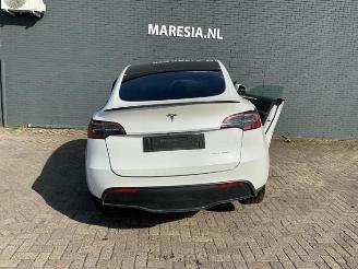 Tesla Model Y Model Y (5YJY), SUV, 2019 / 2025 Long Range,Performance picture 2