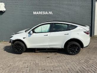 Salvage car Tesla Model Y Model Y (5YJY), SUV, 2019 / 2025 Long Range,Performance 2023/6