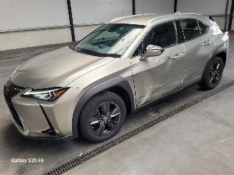 Vaurioauto  passenger cars Lexus UX 250h Hybrid 2.0 112-KW Automaat Luxury 2021/2
