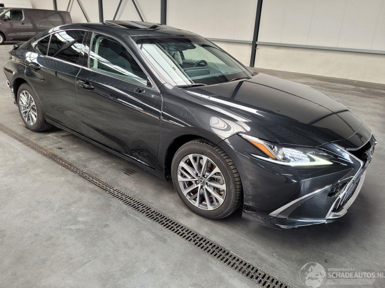 Lexus ES 300h Hybrid 160-KW Automaat