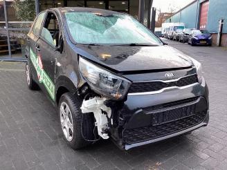 Kia Picanto Picanto (JA), Hatchback, 2017 1.0 DPI 12V picture 3