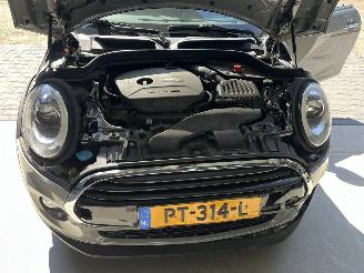 Mini Cooper Pepper Serious Business picture 12