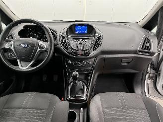 Ford B-Max 1.0 EcoBoost Titanium Navi Clima picture 11
