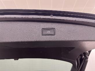 Volkswagen Tiguan 1.5 TSI DSG R-Line Business Navi Clima picture 14