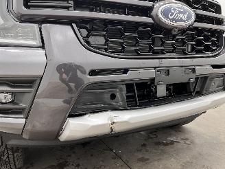 Ford Ranger 2.3 PHEV Wildtrak DC 4WD Navi Clima picture 18