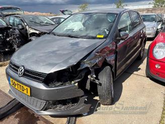 Volkswagen Polo Polo V (6R), Hatchback, 2009 / 2017 1.2 TSI picture 1
