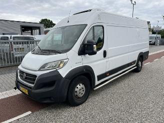 dommages fourgonnettes/vécules utilitaires Fiat Ducato 2.3 MJ 110KW MAXI L4H2  KLIMA  THERMOKING 2019/10