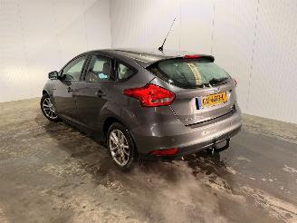 Ford Focus 1.0 Ti-VCT EcoBoost 12V 100 Hatchback  Benzine 998cc 74kW (101pk) FWD picture 1