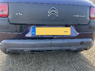 Citroën C4 cactus 1.6 BlueHDi Business picture 8