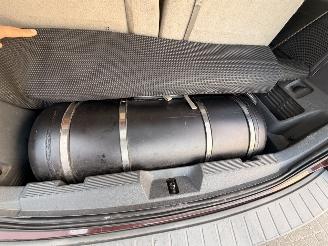 Ford  FLEX | LPG | 7P !!! picture 11