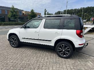 Skoda Yeti 1.4 TSI Greentech Adventure | panoramadak!! picture 17