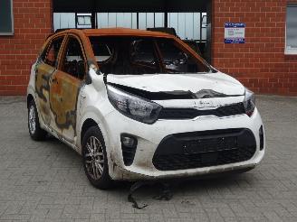 Kia Picanto  picture 3