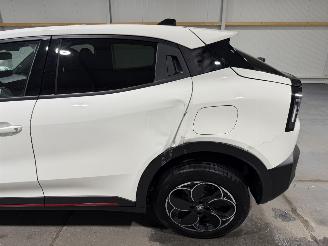 Alfa Romeo Junior 54kWh Elettrica  Speciale  115kW picture 30