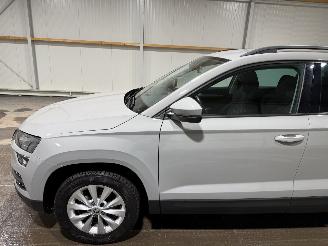 Skoda Karoq 1.0TSi 85kW Ambition picture 13