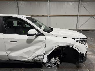 BMW iX1 67kWh 150kW eDrive20 Automaat picture 19