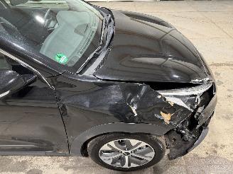 Kia e-Niro 64kWh 150kW Automaat Dynamicline picture 18