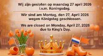 uszkodzony samochody osobowe Abarth 595 27 APRIL KONINGSDAG GESLOTEN 2026/4
