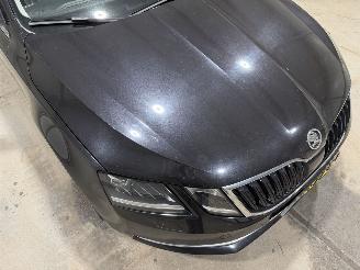 Skoda Octavia 1.0TSI 85kW Automaat  Style Business Panoramadak picture 17