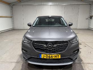 Opel Grandland X 1.2Turbo 96kW Innovation Camera Navi picture 4