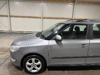 Skoda Fabia 1.2 TDI Greenline Businessline picture 13