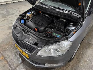 Skoda Fabia 1.2 TDI Greenline Businessline picture 40