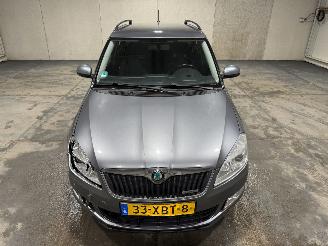 Skoda Fabia 1.2 TDI Greenline Businessline picture 22