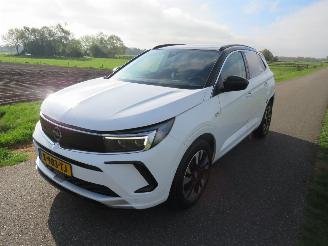 Opel Grandland 1.2  Turbo Automaat  131pk 40.000km 2024 Euro 6 MPV Camera Navigatie Clima picture 24