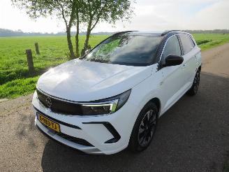 uszkodzony samochody osobowe Opel Grandland 1.2  Turbo Automaat  131pk 40.000km 2024 Euro 6 MPV Camera Navigatie Clima 2024/3