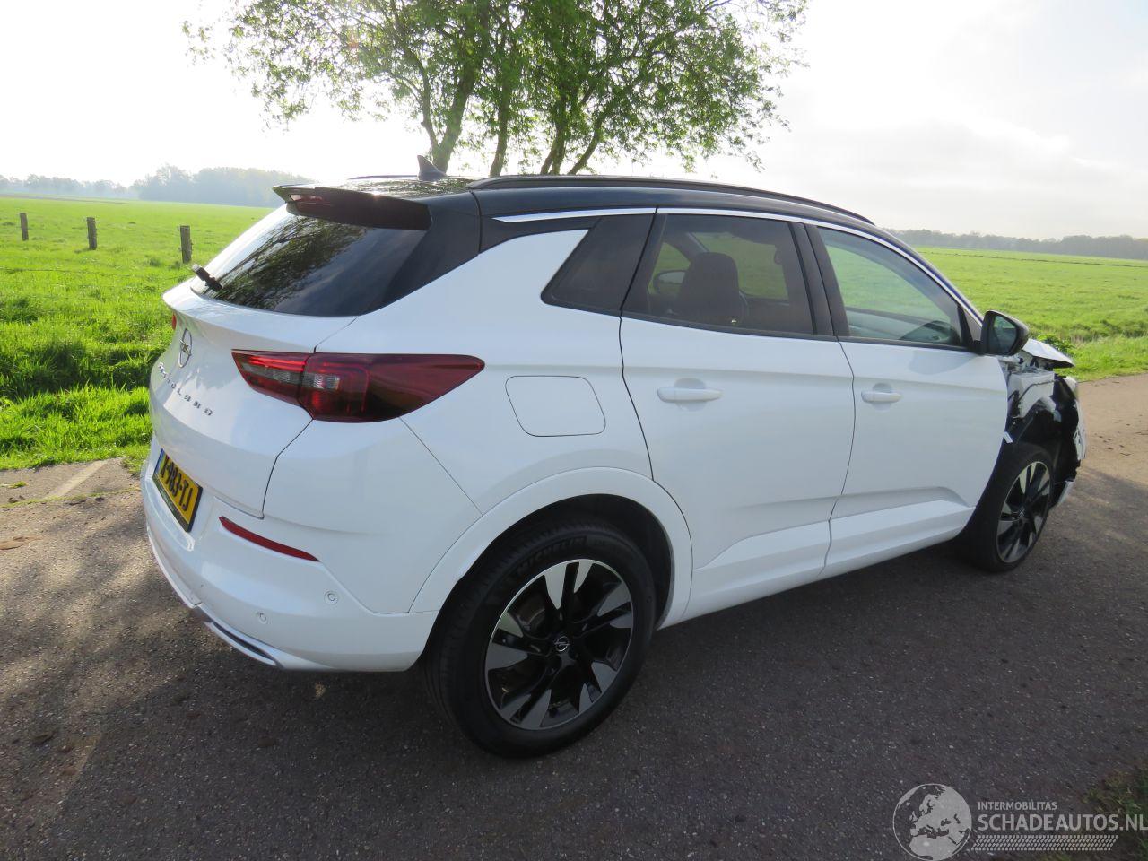 Opel Grandland 1.2  Turbo Automaat  131pk 40.000km 2024 Euro 6 MPV Camera Navigatie Clima