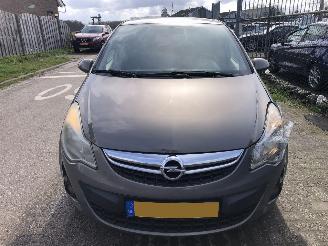 Opel Corsa 1.3 diesel picture 1