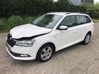 Schadeauto Skoda Fabia Fabia Combi 1.0 TSI Clever 2019/4