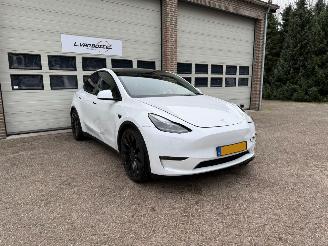 Damaged car Tesla Model Y Performance AWD 75 kWh Leder Pano 1e Eig NAP 2022/9