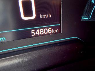 Peugeot e-208 EV Allure 50 kWh Navi Clima 54806 Km NAP ! picture 11