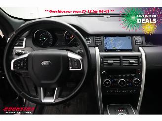Landrover Discovery Sport 2.0 TD4 HSE VAN Commercial Navi Camera SHZ Leder picture 8