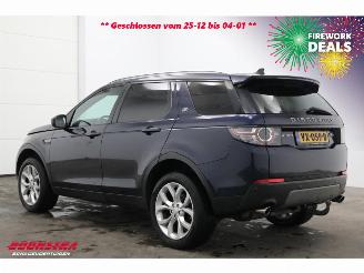 Landrover Discovery Sport 2.0 TD4 HSE VAN Commercial Navi Camera SHZ Leder picture 4