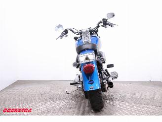 Harley-Davidson  FLSTF Fat Boy Rinehart picture 8