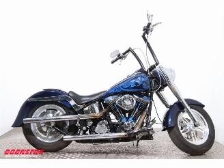 Harley-Davidson  FLSTF Fat Boy picture 7