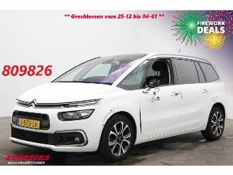 skadebil auto Citroën Grand C4 SpaceTourer 1.2 PureTech Bns 7-Pers. Navi Clima Cruise Camera PDC AHK 46.725 km! 2020/9