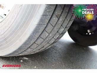 Schmitz Cargobull  SKO Thermo King SLXi 300 Dhollandia 2X Lift BY 2020 picture 34