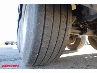 Krone  SD Kuhler Carrier Vector ME19 MT Doppelstock picture 27