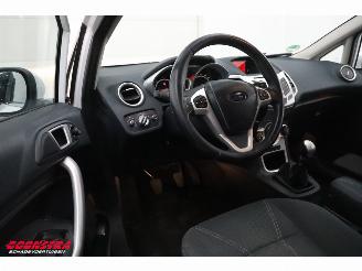 Ford Fiesta 1.6 TDCi ECOnetic Titanium Bluetooth Clima Cruise PDC picture 11